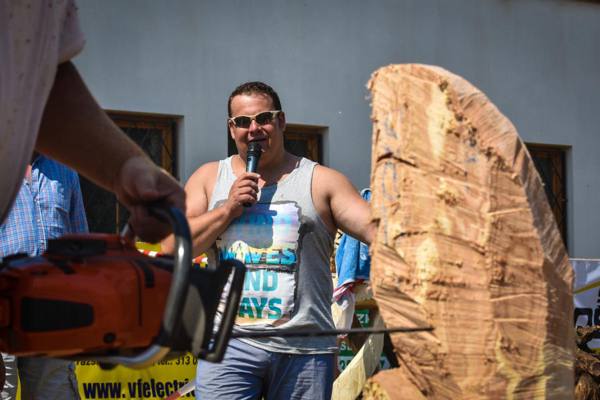 Woodart – foto 2