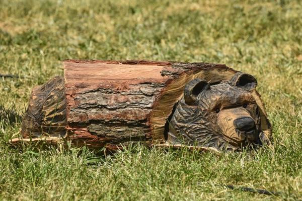 Woodart – foto 5