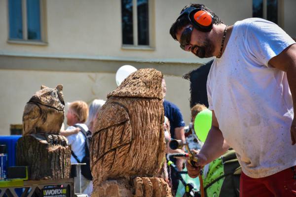 Woodart – foto 24