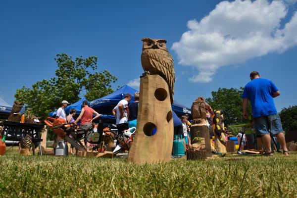 Woodart – foto 30
